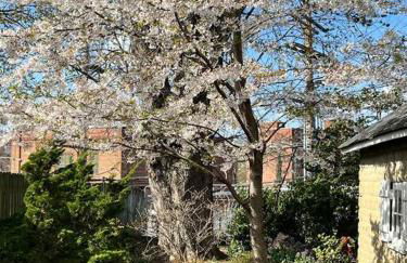 Vintage Charm: Annapolis Retreat - Foto 7