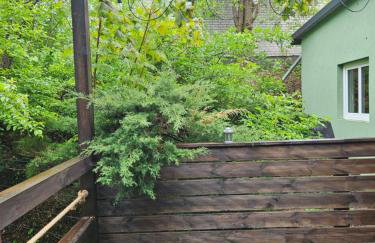 Domek Jelonek nad jeziorem i rzeką - Foto 15