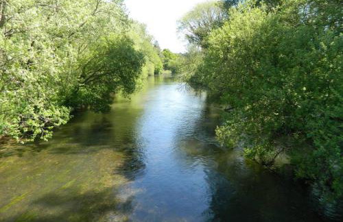 River Cottage a country retreat in wooded gardens - Foto 30