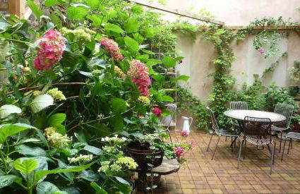 Gite Les Hirondelles 6 pers Ribeauvillé - Foto 19