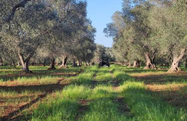 Casa Vacanze Aurora - Foto 29