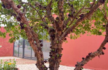 Casa familiar na 405 - Palmas - Foto 33