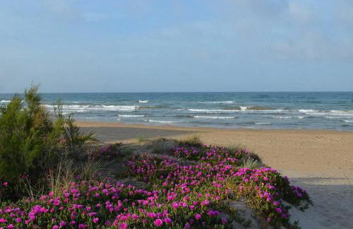 Estrella Del Mar, Denia - Foto 4