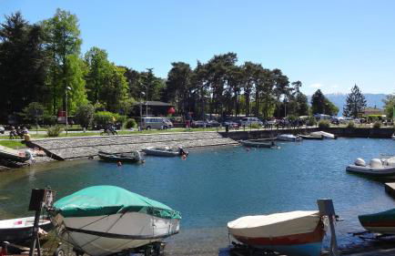 Il girasole - Foto 26