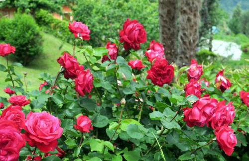 Bellagio Lake View Villa - Foto 16