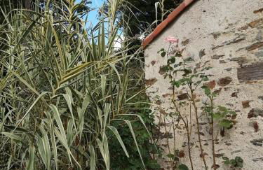 Gîte La Rocardière XL 10 personnes - Photo 30