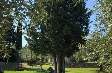 Villa Lithia - Foto 26