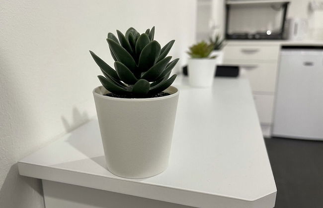 Wisteria Studio - Foto 10