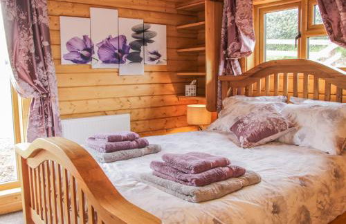 Manor Farm Lodges - Dragon Lodge - Foto 9