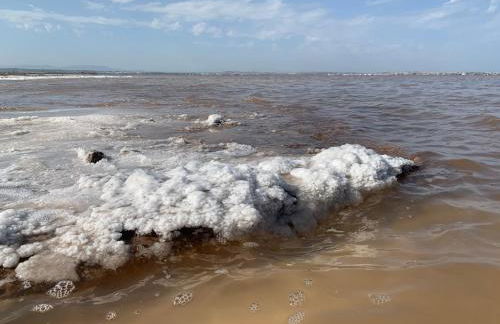 Apartamento Agua Rosa - Foto 66