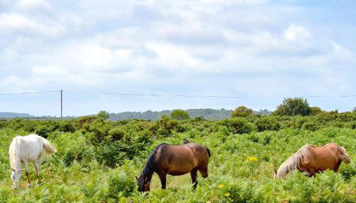 The Old Post Office - Foto 5