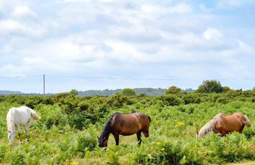 Pond Cottage - Photo 24