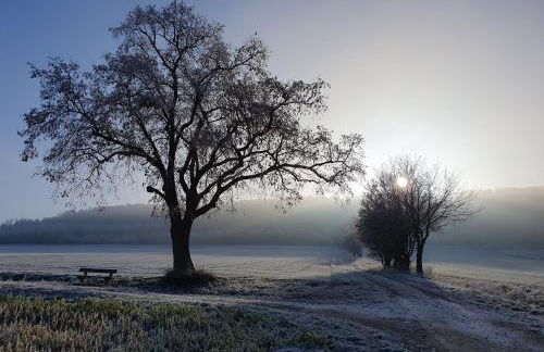 Fewo Tina und Günni - Foto 25