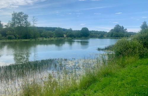 La scierie Massonat - Foto 11