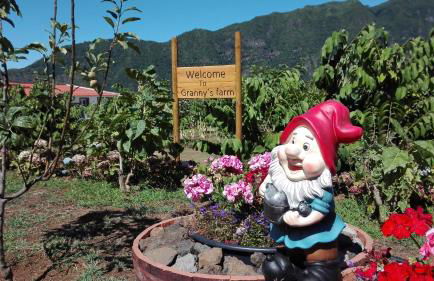 Granny's farm - Foto 1