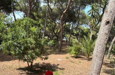 Villa Emma - Foto 10