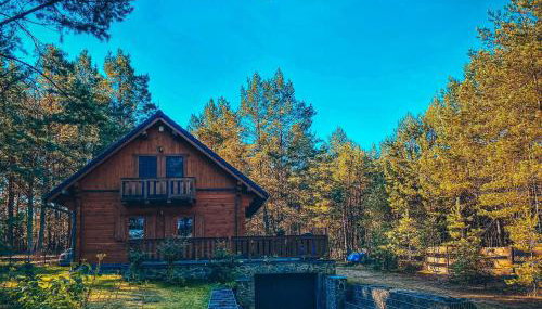 DOM w BORACH - Foto 2