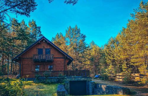 DOM w BORACH - Foto 2