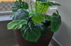 Ap novo com vista para o Parque Beto Carrero! 6 min a pé - Foto 2