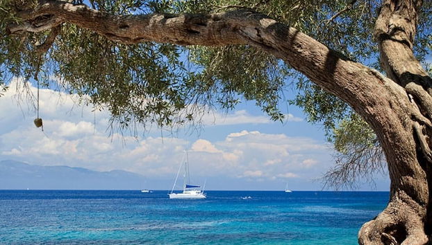 Monodendri Blue in Paxi - Foto 4, Habitación