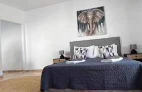 Elefanti Nani - Foto 47