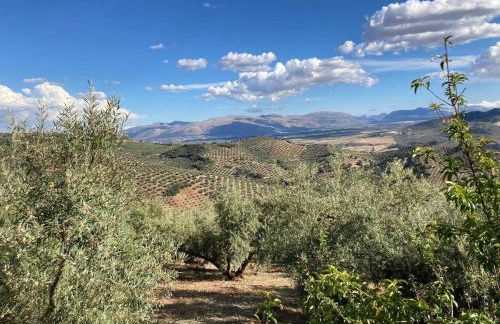 Dehesilla Olive Orchard Retreat - Foto 15