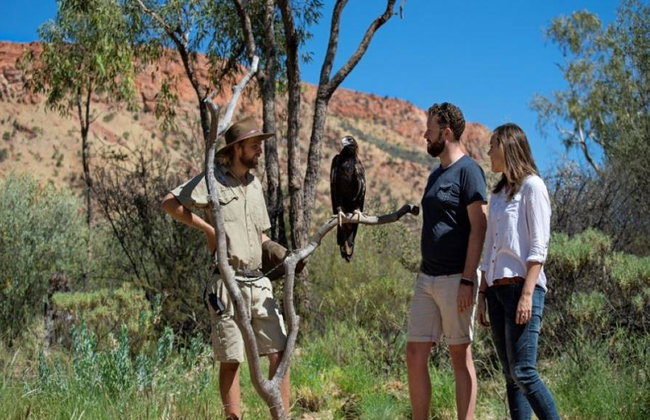 Tour "A Town like Alice" y Alice Springs Desert Park de día completo - Foto 9