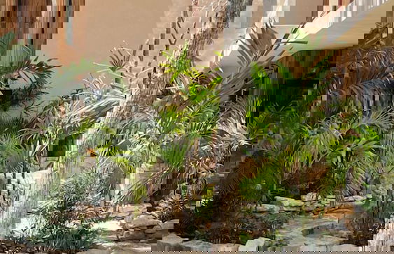 Family & Couples HARMONIA Suites in Tulum - Photo 5