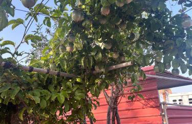 CASA GRANDE FINCA EL CALABRES - Foto 53