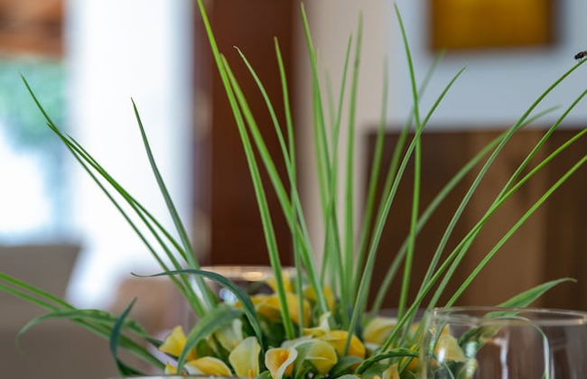 Ballarat Luxury Villa - Foto 29