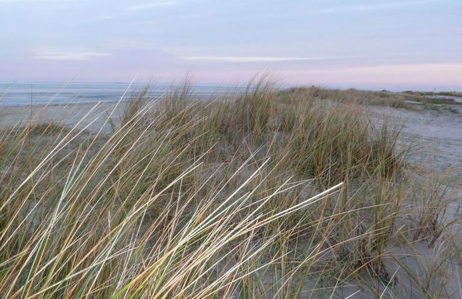 Holiday Home Manders - Foto 19