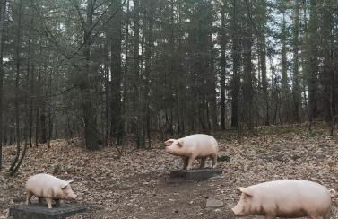 Appartement vue riviere - Foto 25