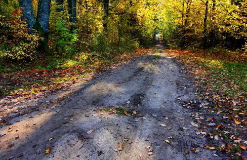 Zezuj Agroturystyka i Łowisko - Photo 48