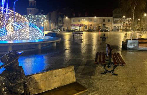 Apartamenty Stary Rynek 18 - Foto 19