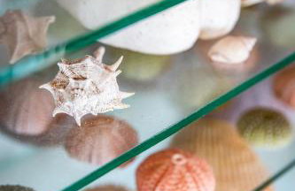 Plum Ridge House - Foto 34