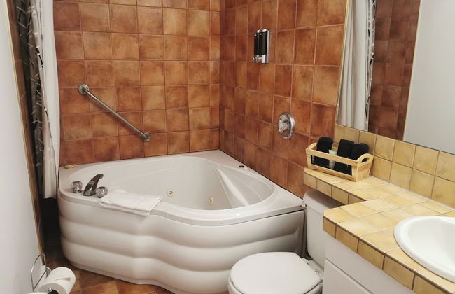 auberge du vieux foyer - Foto 15