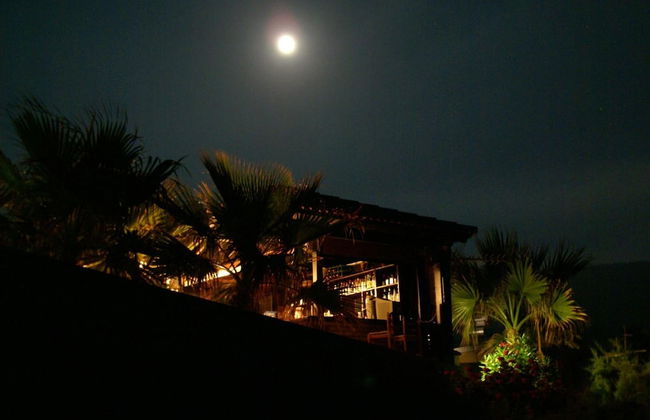 Sun Camero Apartments - Photo 51