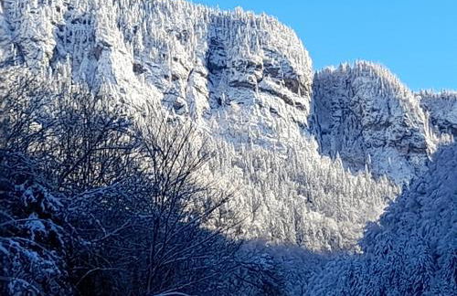 Le Ratty appartement 6 personnes - Foto 32