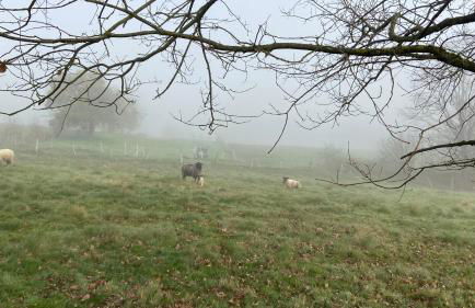Charaktervolle Whg mit Parkplatz nähe Kassel - Foto 45