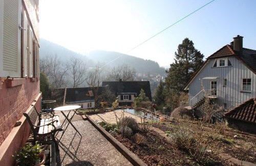 Schwarzwaldblick - Foto 9