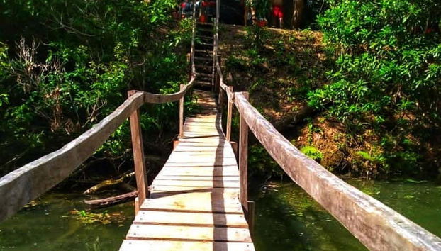 Excursion à la rivière Tagatiyá - Photo 4, Passerelle sur la rivière Tagatiyá
