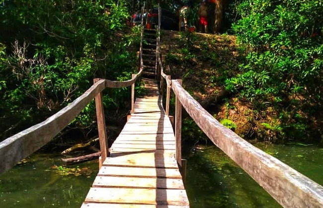 Tagatiyá Creek Day Trip - Foto 4