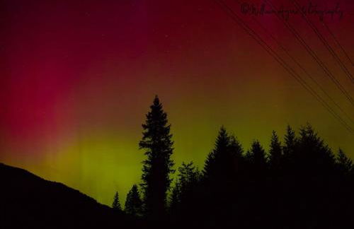 Welcome to Raven Ridge Lodge - where time slows - Photo 68