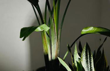 La casa sul porticciolo - Foto 44