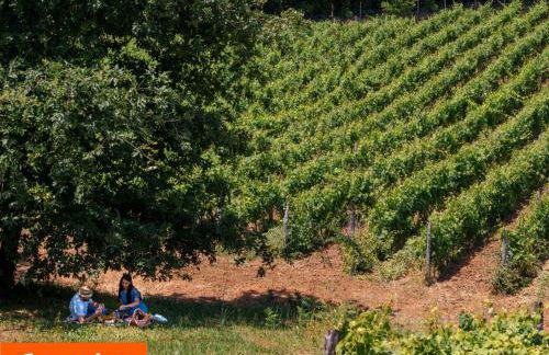 La Cerreta - Terme di Sassetta - Foto 71