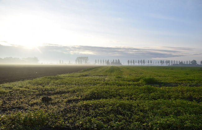 Dike House in Schoondijke Near Beaches - Foto 21