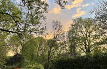 Forest House in Perigord Vert - Foto 14