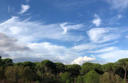 Seaside Paradise Mazagon - Foto 11