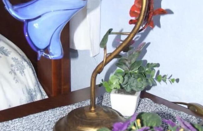 Agriturismo Il Punto Verde - Foto 12