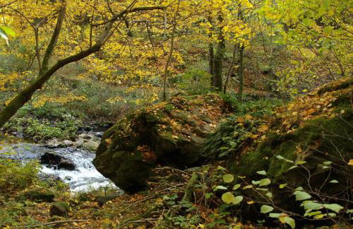 Chalet Alba - Foto 63